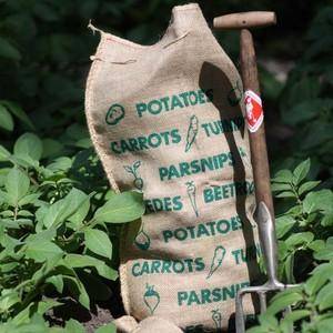 Vegetable Sacks